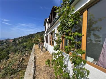  House for sale in Vallebona.