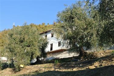 House under construction for sale in Soldano, San Martino
