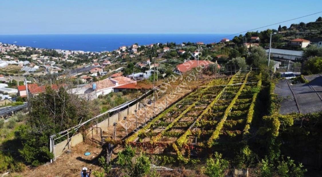 Rustic with sea view for sale in Sanremo - Coldirodi