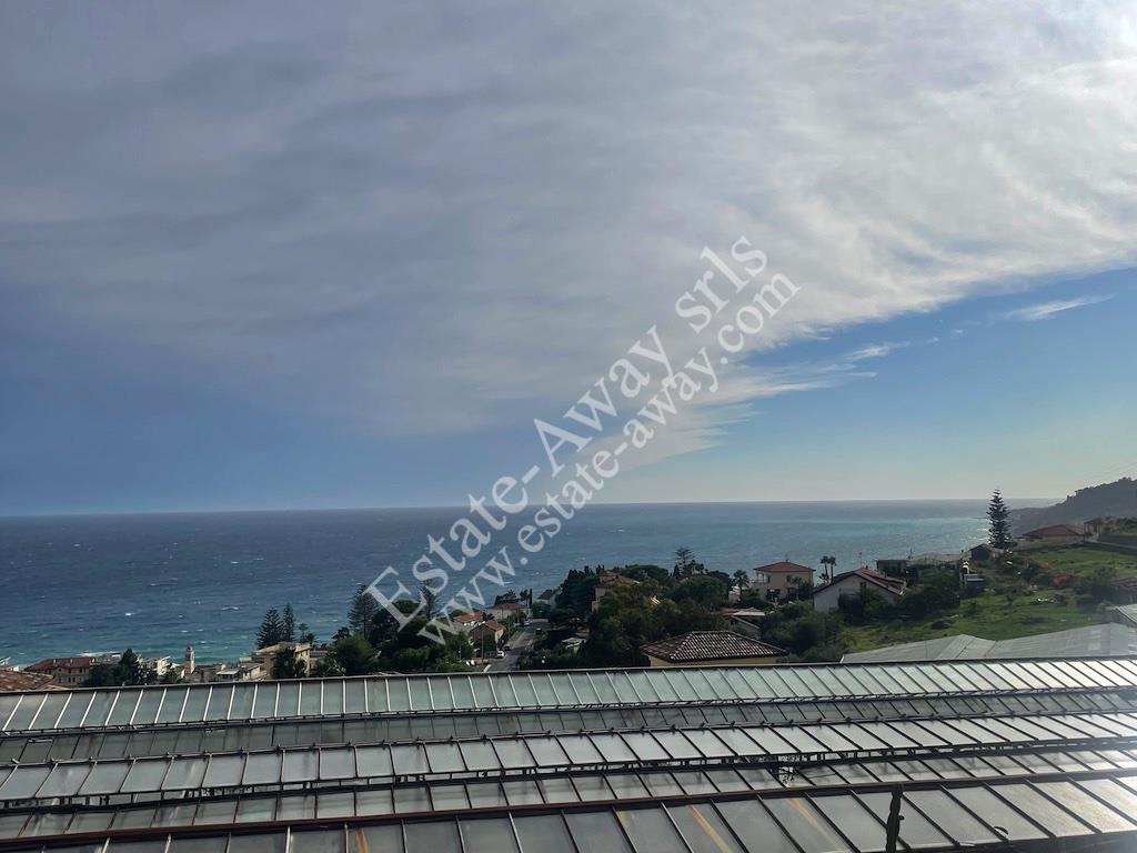 Building land 6,000 sqm with sea view for sale in Ospedaletti 