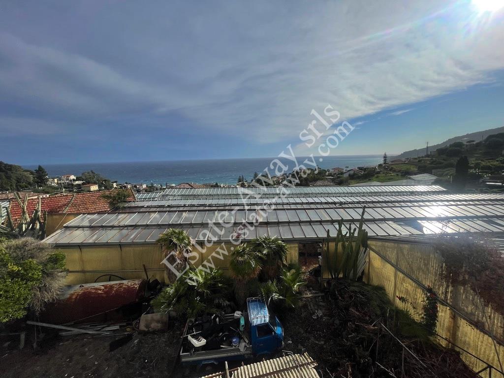 Building land 6,000 sqm with sea view for sale in Ospedaletti 