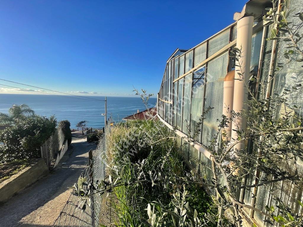 Flat land with sea view buildable for sale – Ospedaletti