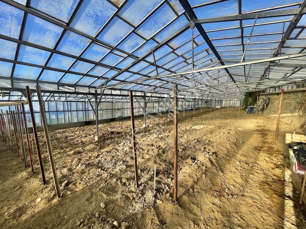 Flat land with sea view buildable for sale – Ospedaletti