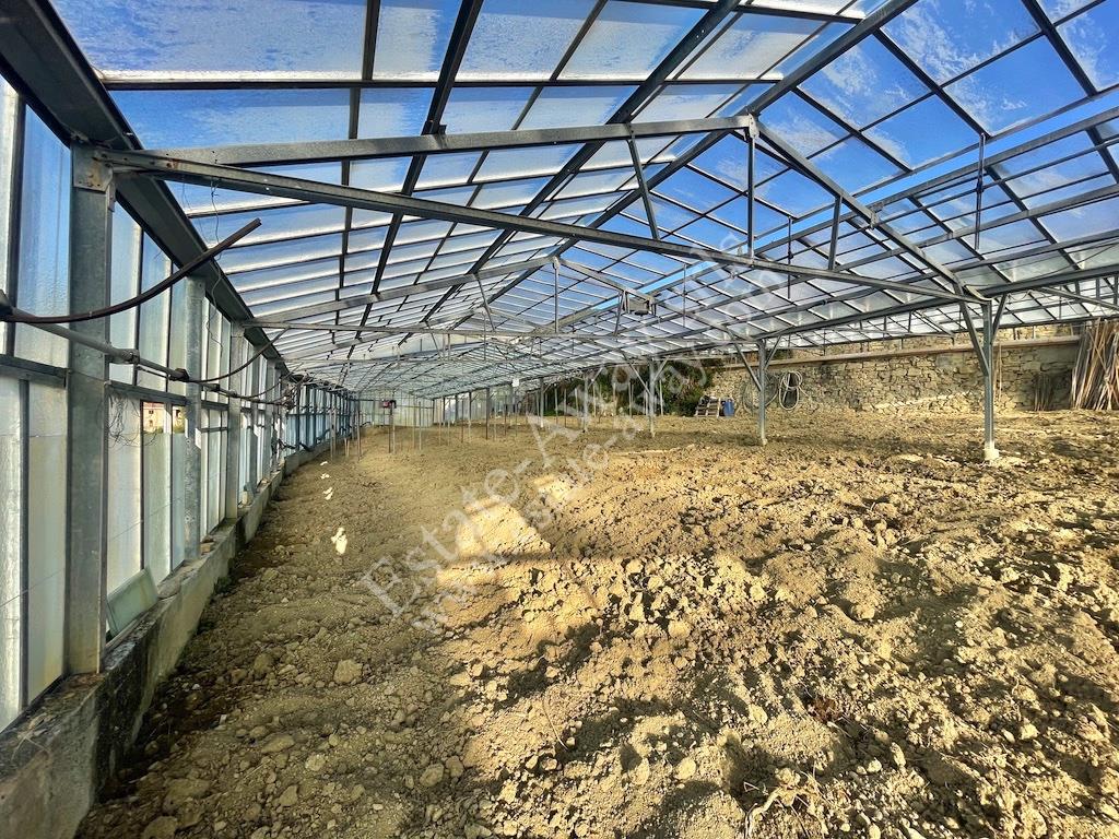 Flat land with sea view buildable for sale – Ospedaletti