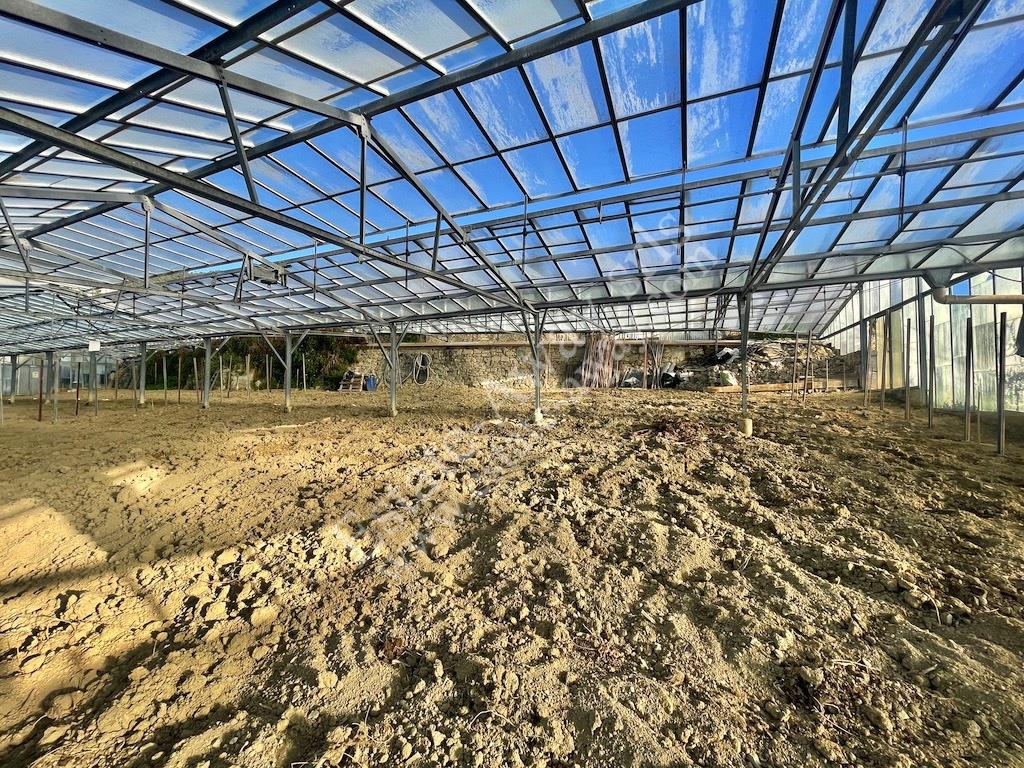 Flat land with sea view buildable for sale – Ospedaletti