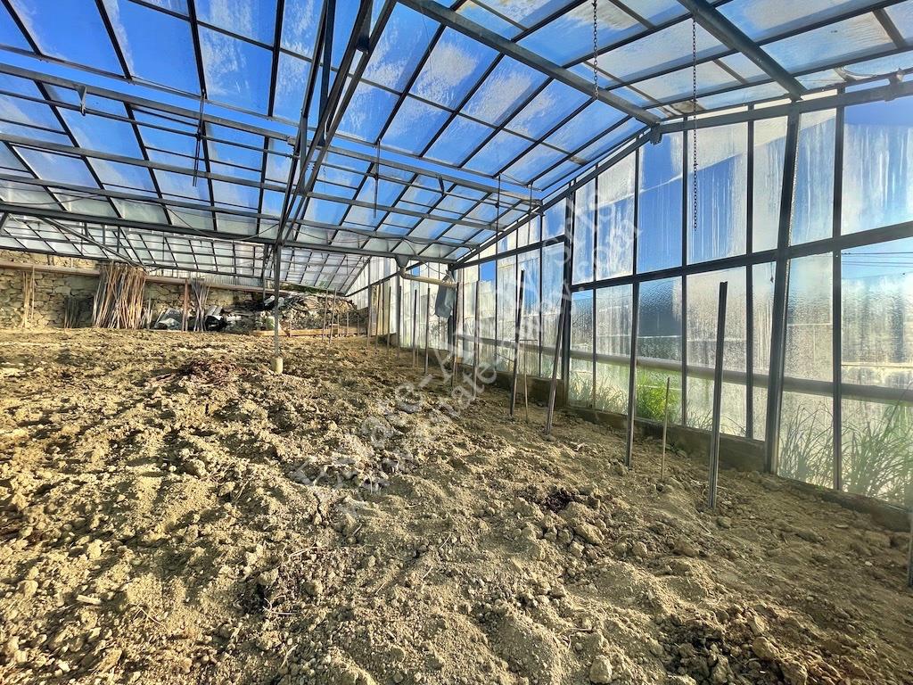 Flat land with sea view buildable for sale – Ospedaletti