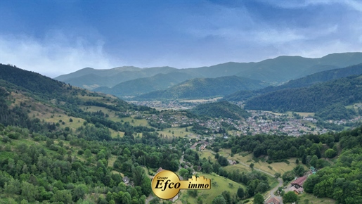 Magnificent haven of peace surrounded by nature in Alsace - Panoramic View