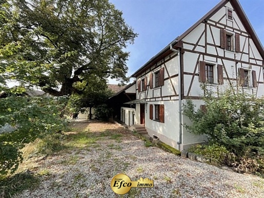 Housing complex with 2 houses (256 m2) + a barn on 10 ares of land!