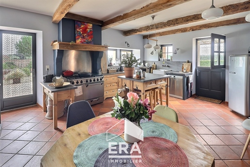 Exceptional and charming property near Albi