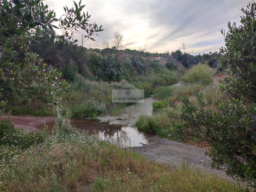 Finca en Pereira