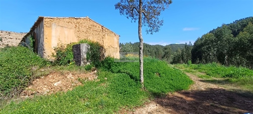 Landgoed van 4 hectare met twee ruïnes