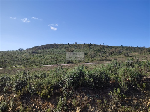 Large Rustica property with possibility of construction.