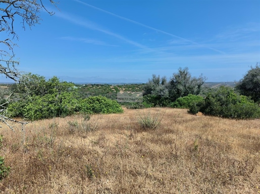 Terreno rustico em Odiaxere