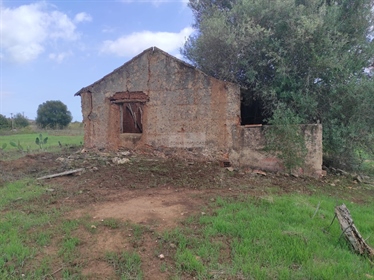 Blandad mark med ruin och lager i Cotifo