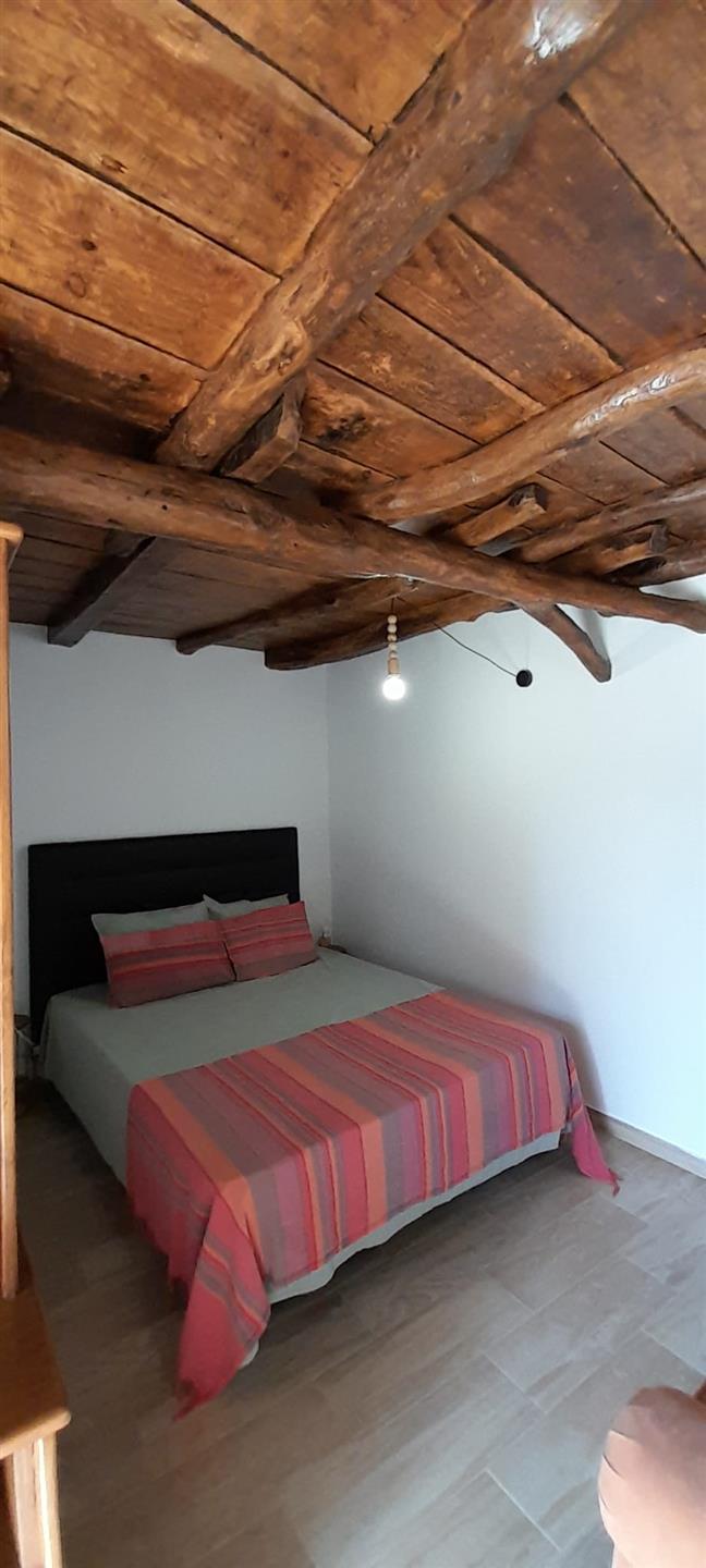 Investment property in the outskirts of Pedrógão Pequeno