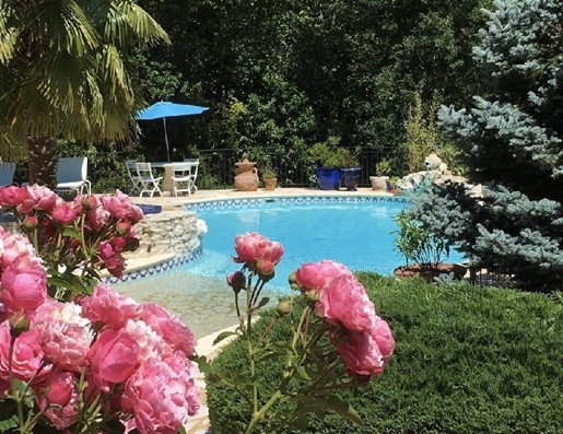 Heel bijzonder geheel met een een prachtige grote tuin, heerlijk zwembad / jacuzzi en zeer zeer priv