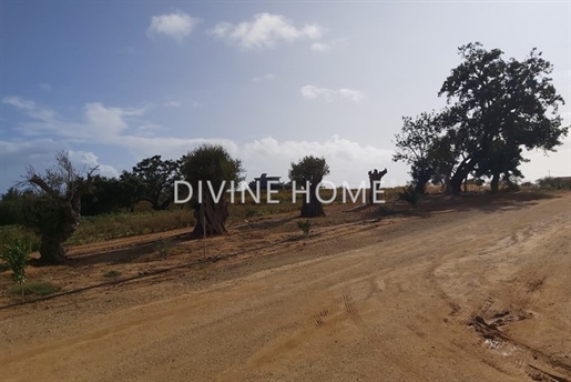 Touristic investement opportunity! 10 hectares farm with project for 4 star Hotel!