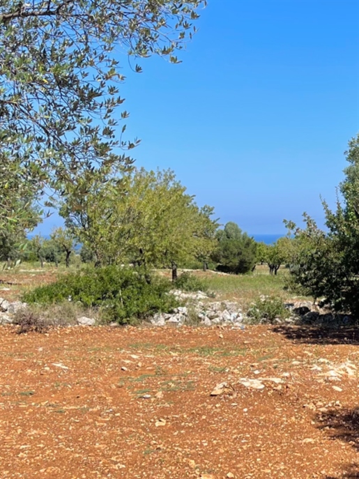 Large Building Land with Sea View Carovigno - 4,4 Hectares- for 1-4 Houses