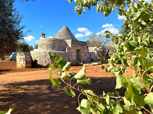 Amazing Trullo And Lamia To Develop- Land Over One Ha