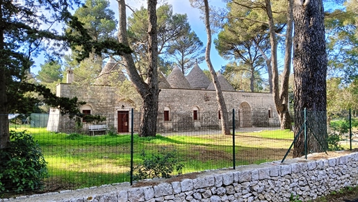 Substantial 8-Cone Trullo Property In Prestigius Selva di Fasano