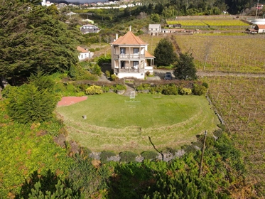 Wine Estate with 5 Hectares
