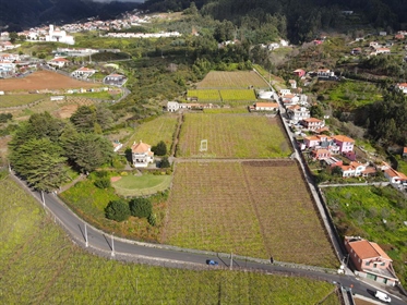 Domaine viticole avec 6 hectares