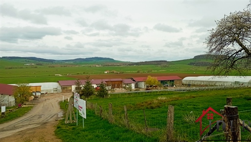 Vosges Vittel market gardening on 10 ha