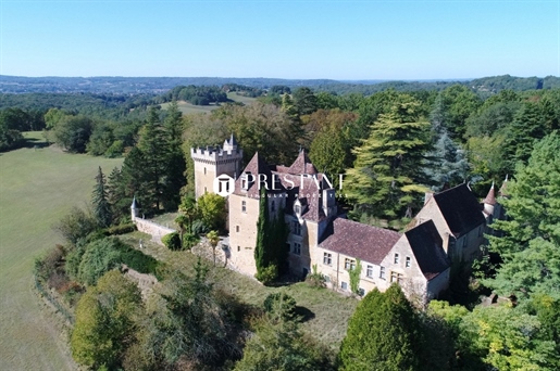 Étonnant château sur 60 hectares, au coeur du Périgord noir.