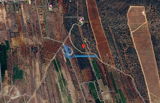 Rustikales Grundstück mit 3960m² in Cabeça Aguda- Paderne