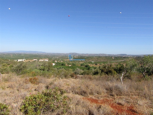 Land with 8320m2 and Approved Project for 4 bedroom villa of 300m2 located in Cortezões/Tunes for sa