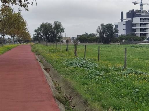 Land for construction in the new housing area of Montijo