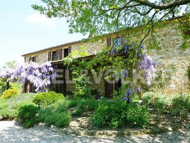 Farmhouse with park and swimming pool for sale in Orvieto