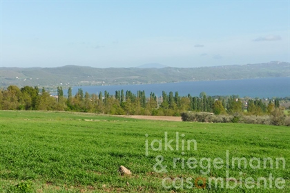 Project voor een landbouwbedrijf met uitzicht op het meer van Bolsena