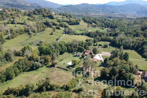 Agriturismo in the hinterland of Lucca in Tuscany with several buildings, pool, equestrian area and