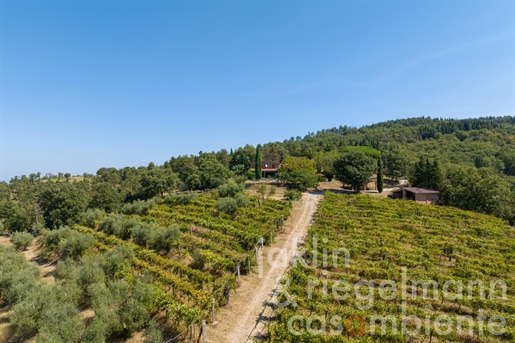 Casale con produzione di vino e olive su 31 ettari di terreno nell'Umbria occidentale