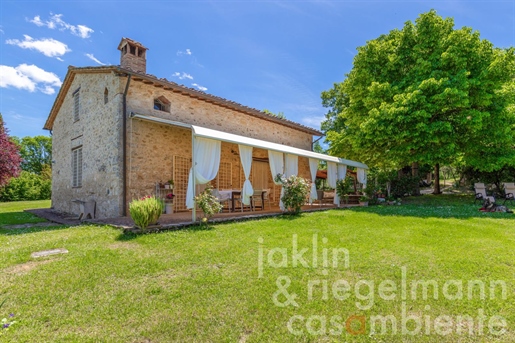 Ferme en pierre avec garage et oliveraie dans la province de Sienne