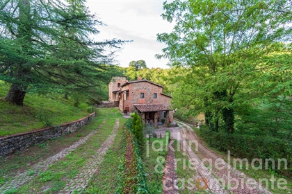 Restored mill with heated pool 36 km from Florence
