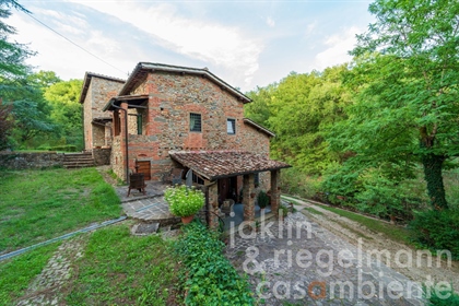 Restored mill with heated pool 36 km from Florence