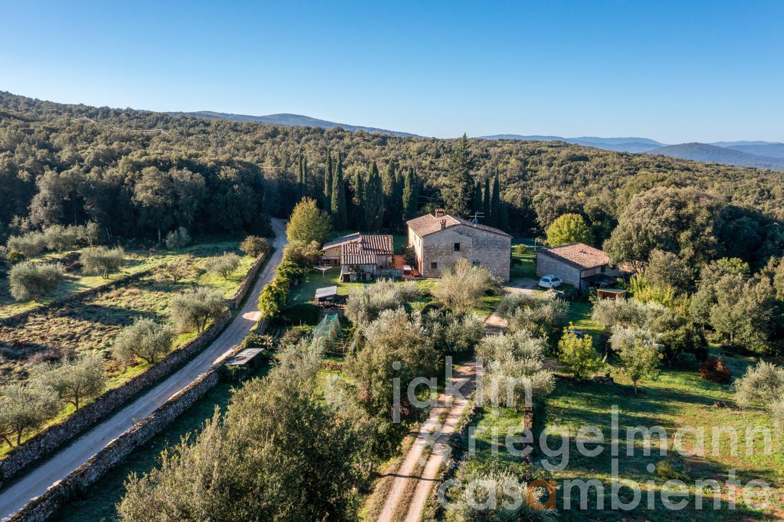 Stone farmhouse with pool and annex buildings near Monteriggioni between Florence and Siena