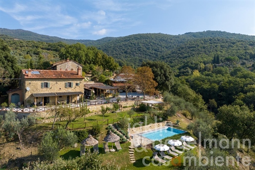 Ferme toscane avec 4 appartements, piscine et vues panoramiques près de Cortona