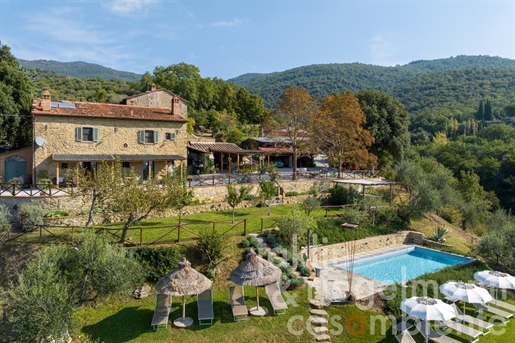Agriturismo in Toscane met 4 appartementen, zwembad en panoramisch uitzicht bij Cortona
