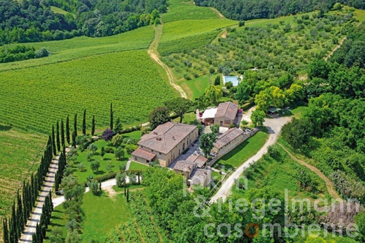 Agritourism farm with 22 ha of land and views of the towers of San Gimignano