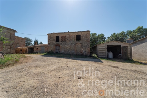 Azienda agricola biologica con allevamento di pecore a sud di Siena