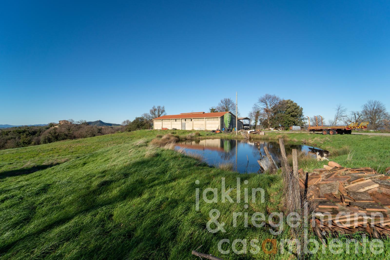 Estate with 170 ha of land in the province of Pisa 53 km from the sea