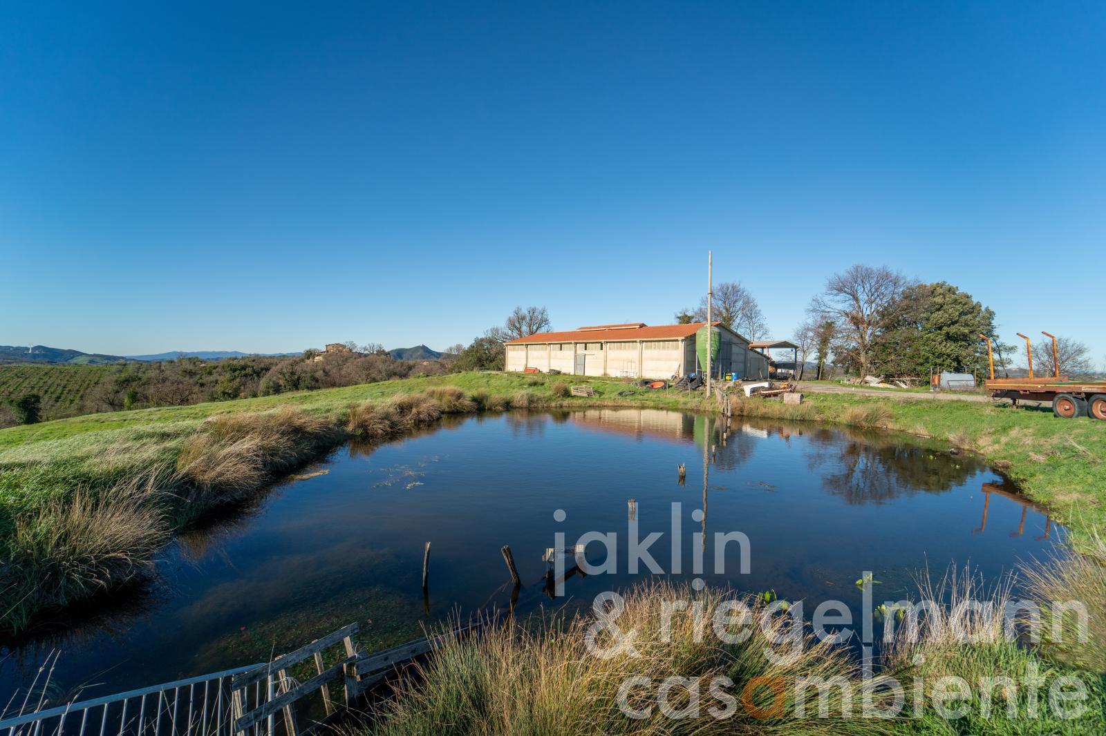 Estate with 170 ha of land in the province of Pisa 53 km from the sea