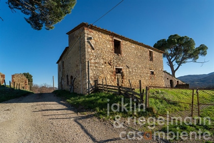 Estate with 170 ha of land in the province of Pisa 53 km from the sea