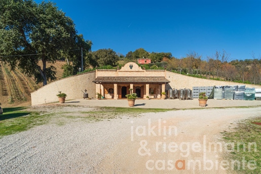 Modern organic winery with agriturismo in the Marche region
