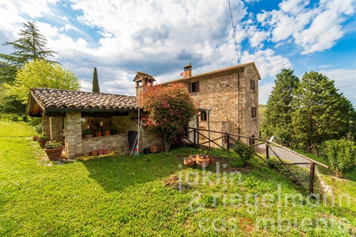Restored farmhouse with annexe building and pool near Todi