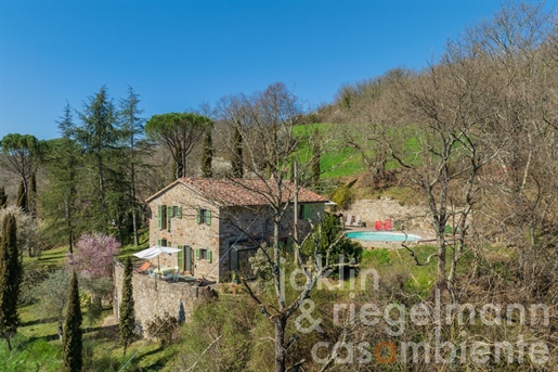 Renovated stone house with pool, private well and large plot bordering a brook