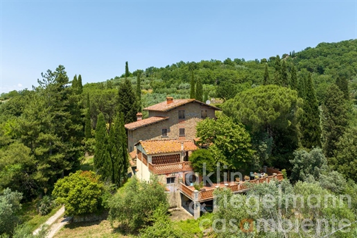 Country house near Reggello 35 km from Florence